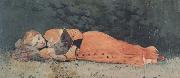 Winslow Homer The New Novel (mk44) oil painting